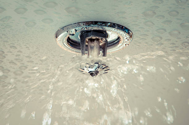 Fire sprinkler service context